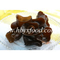 2.5-3cm Organic Natural Black Fungus Cloud Wood Eea